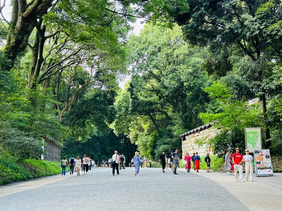 The gravel approach to Meiji Shrine under the forest canopy on a quiet morning